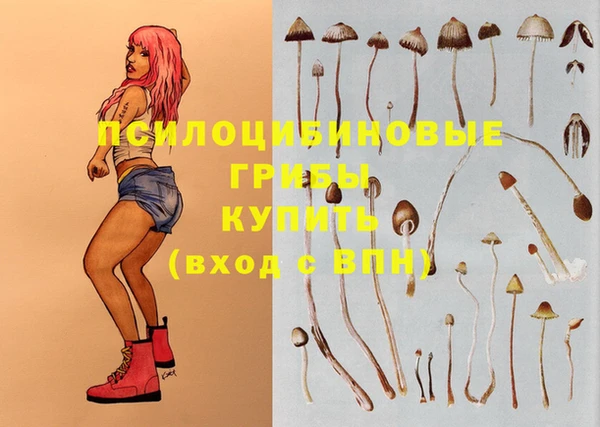 первитин Козельск