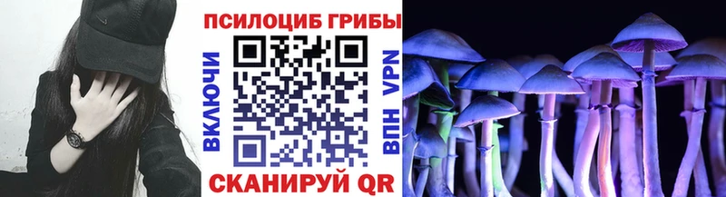 дарк нет наркотические препараты  где можно купить наркотик  Абаза  Галлюциногенные грибы мицелий 